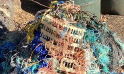 Marine Debris 69